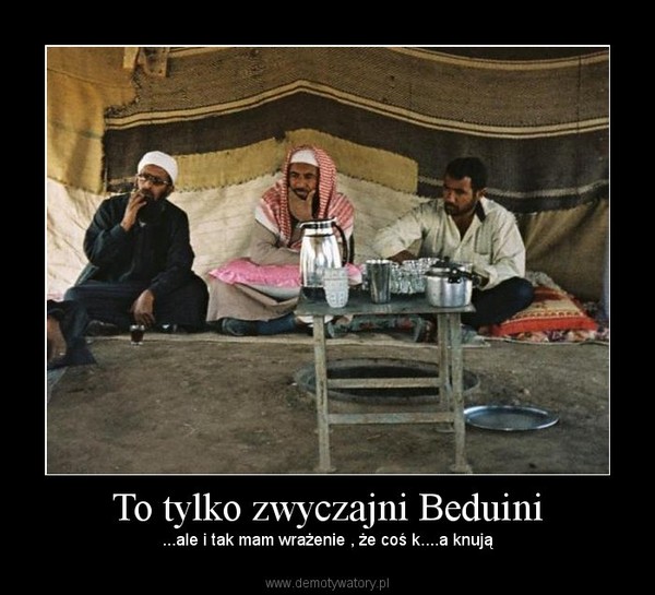 To tylko zwyczajni Beduini – ...ale i tak mam wrażenie , że coś k....a knują 