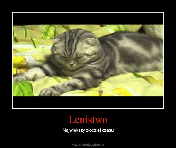 Lenistwo – Największy złodziej czasu 