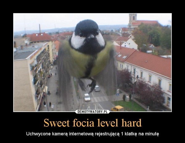 Sweet focia level hard – Uchwycone kamerą internetową rejestrującą 1 klatkę na minutę 
