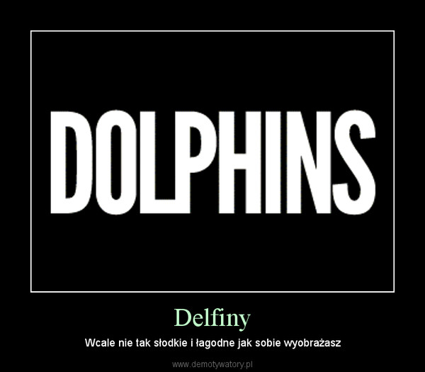 Delfiny – Wcale nie tak słodkie i łagodne jak sobie wyobrażasz 