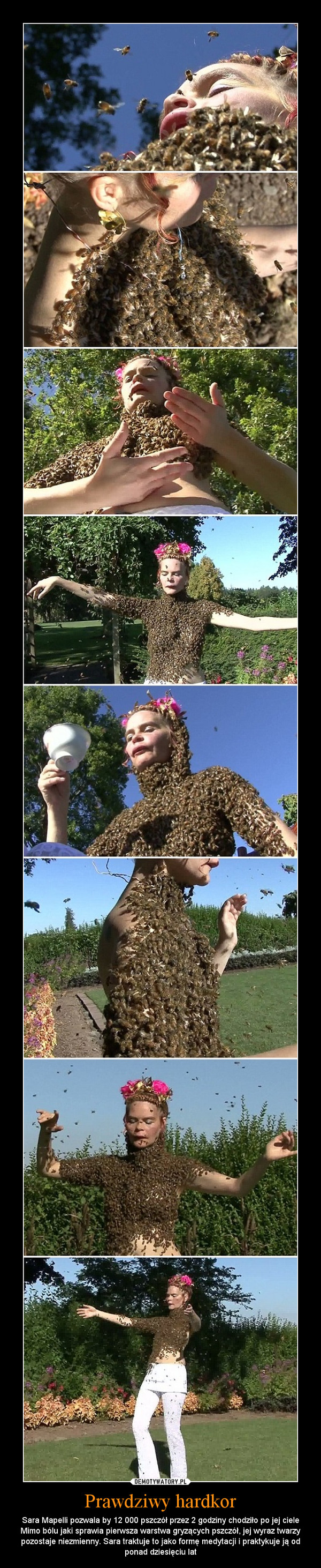 Prawdziwy hardkor – Sara Mapelli pozwala by 12 000 pszczół przez 2 godziny chodziło po jej ciele Mimo bólu jaki sprawia pierwsza warstwa gryzących pszczół, jej wyraz twarzy pozostaje niezmienny. Sara traktuje to jako formę medytacji i praktykuje ją od ponad dziesięciu lat 
