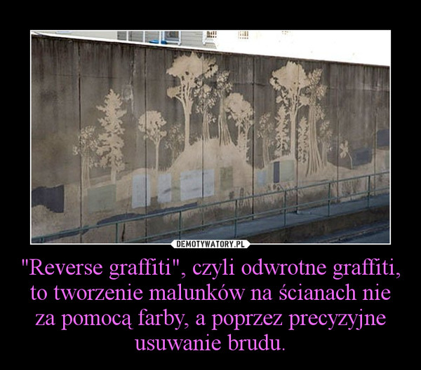 "Reverse graffiti", czyli odwrotne graffiti, to tworzenie malunków na ścianach nie za pomocą farby, a poprzez precyzyjne usuwanie brudu. –  