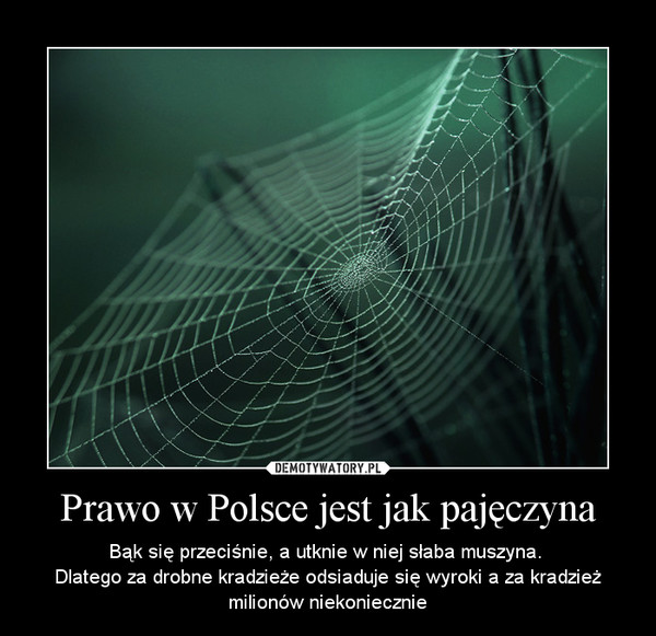 Prawo w Polsce jest jak pajęczyna – Bąk się przeciśnie, a utknie w niej słaba muszyna. Dlatego za drobne kradzieże odsiaduje się wyroki a za kradzież milionów niekoniecznie 
