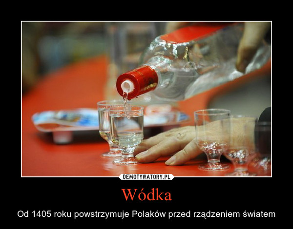 Wódka – Od 1405 roku powstrzymuje Polaków przed rządzeniem światem 