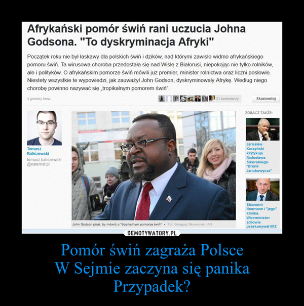 Pomór świń zagraża Polsce
W Sejmie zaczyna się panika
Przypadek?