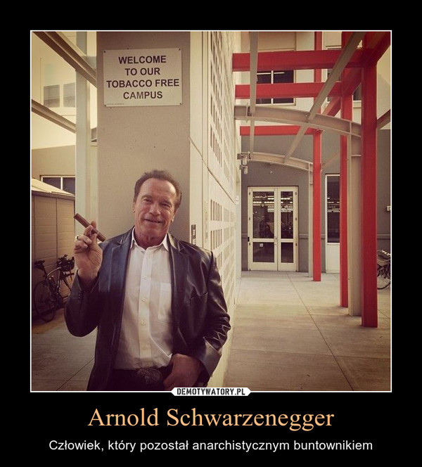 Arnold Schwarzenegger – Człowiek, który pozostał anarchistycznym buntownikiem 