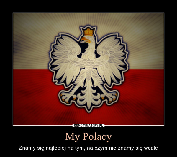My Polacy – Znamy się najlepiej na tym, na czym nie znamy się wcale 