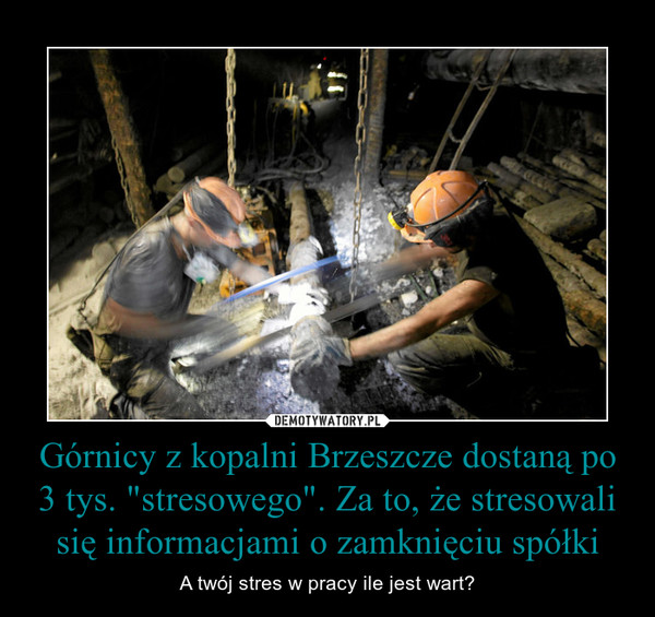 Górnicy z kopalni Brzeszcze dostaną po 3 tys. "stresowego". Za to, że stresowali się informacjami o zamknięciu spółki – A twój stres w pracy ile jest wart? 
