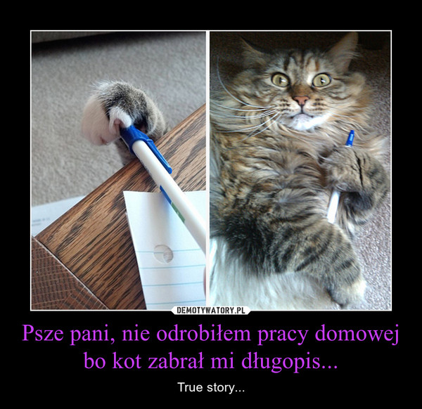 Psze pani, nie odrobiłem pracy domowej bo kot zabrał mi długopis... – True story... 