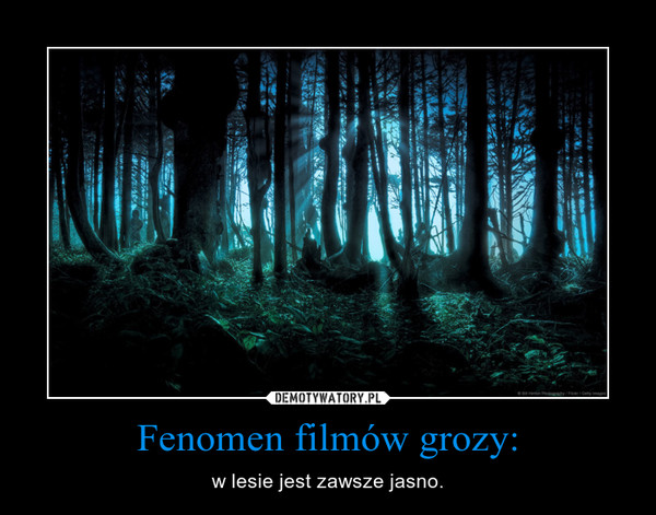 Fenomen filmów grozy: – w lesie jest zawsze jasno. 