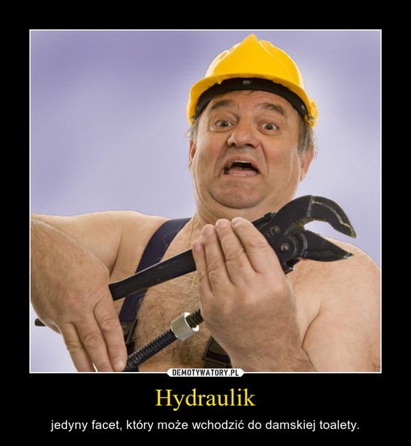 Hydraulik – jedyny facet, który może wchodzić do damskiej toalety. 