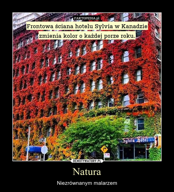 Natura – Niezrównanym malarzem Frontowa ściana hotelu Sylvia w Kanadzie zmienia kolor o każdej porze roku.