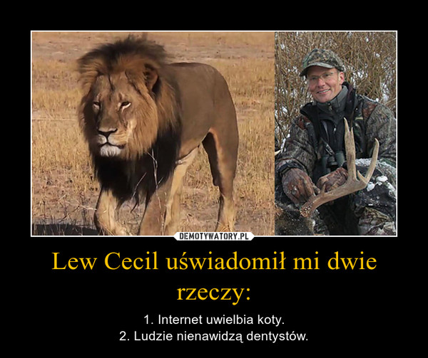 Lew Cecil uświadomił mi dwie rzeczy: – 1. Internet uwielbia koty.2. Ludzie nienawidzą dentystów. 