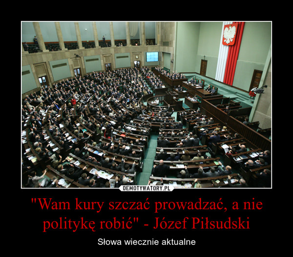 "Wam kury szczać prowadzać, a nie politykę robić" - Józef Piłsudski – Słowa wiecznie aktualne 