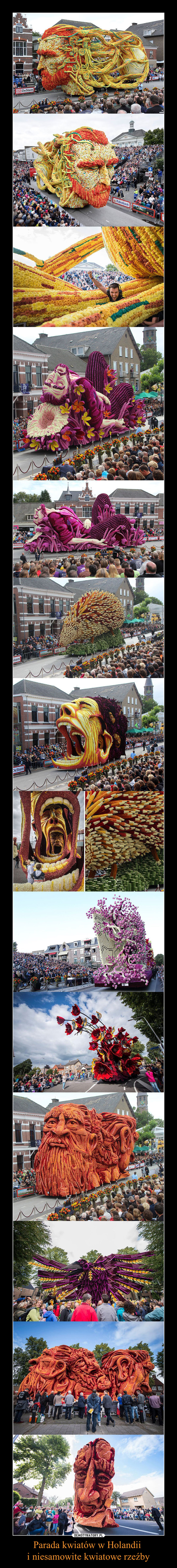Parada kwiatów w Holandii i niesamowite kwiatowe rzeźby –  