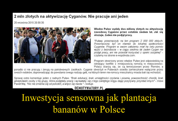 Inwestycja sensowna jak plantacja bananów w Polsce