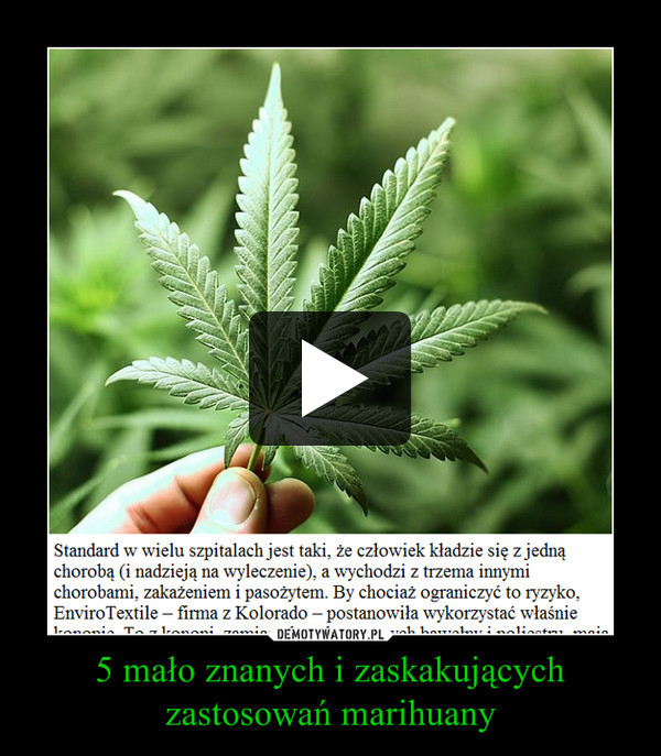 5 mało znanych i zaskakujących zastosowań marihuany –  