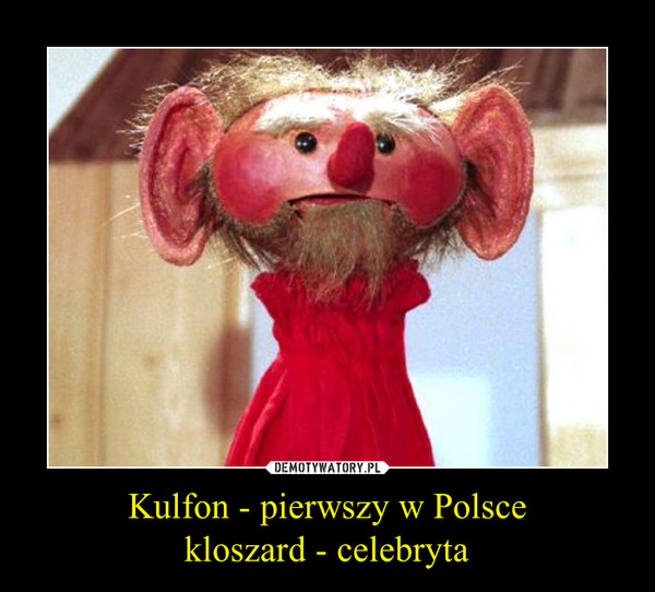 Kulfon - pierwszy w Polsce
kloszard - celebryta