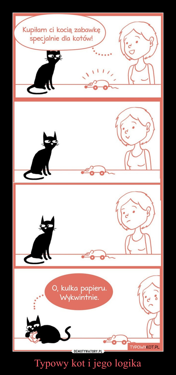 Typowy kot i jego logika –  Kupiłam ci kocią zabawkę specjalnie dla kotów!O, kulka papieru. Wykwintnie.