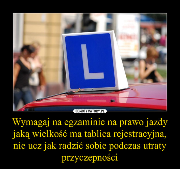 Wymagaj na egzaminie na prawo jazdy jaką wielkość ma tablica rejestracyjna, nie ucz jak radzić sobie podczas utraty przyczepności