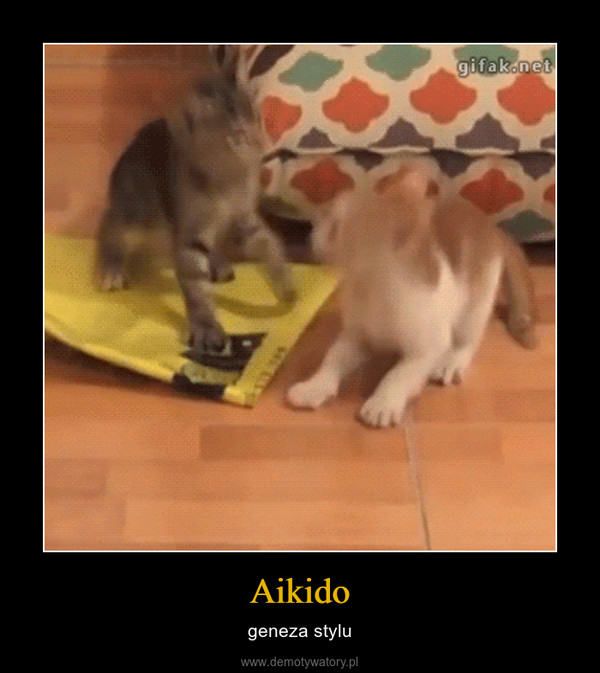 Aikido – geneza stylu 