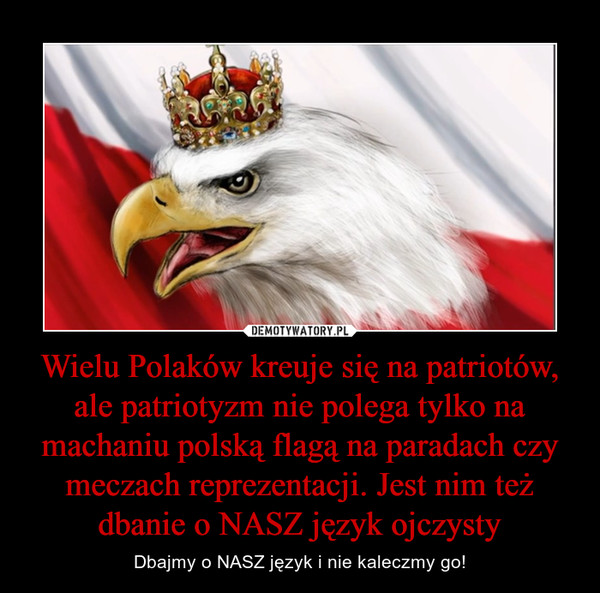 Wielu Polaków kreuje się na patriotów, ale patriotyzm nie polega tylko na machaniu polską flagą na paradach czy meczach reprezentacji. Jest nim też dbanie o NASZ język ojczysty