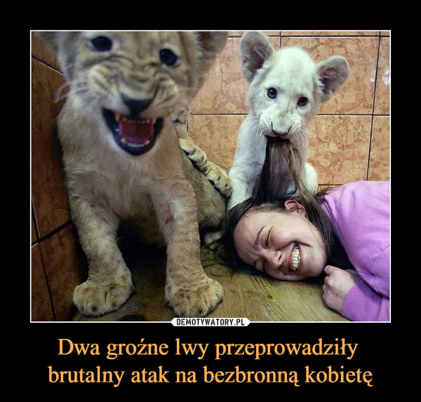 Dwa groźne lwy przeprowadziły 
brutalny atak na bezbronną kobietę