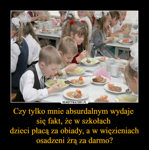 Czy tylko mnie absurdalnym wydaje się fakt, że w szkołach dzieci płacą za obiady, a w więzieniach osadzeni żrą za darmo? –  