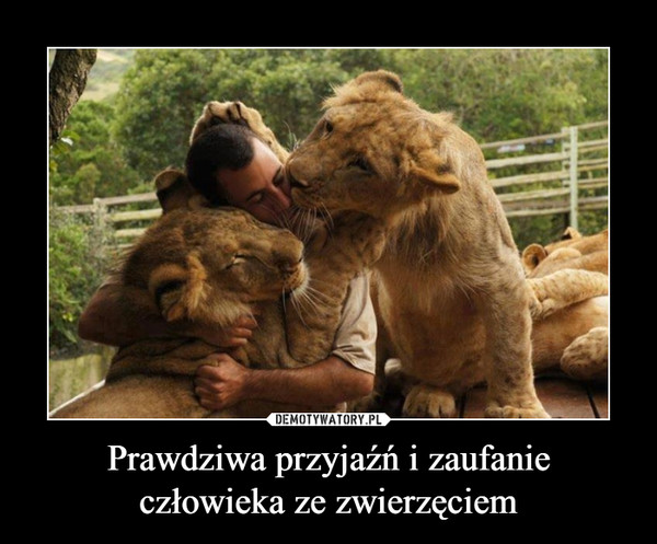 Prawdziwa przyjaźń i zaufanie człowieka ze zwierzęciem –  