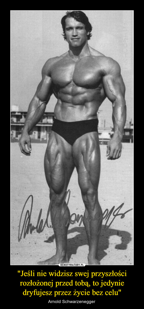 "Jeśli nie widzisz swej przyszłości rozłożonej przed tobą, to jedynie dryfujesz przez życie bez celu" – Arnold Schwarzenegger 