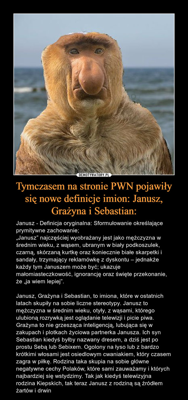 Tymczasem na stronie PWN pojawiły
 się nowe definicje imion: Janusz, 
Grażyna i Sebastian: