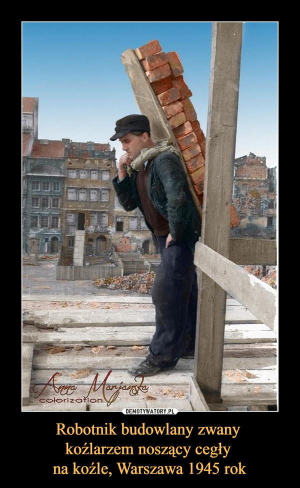 Robotnik budowlany zwany koźlarzem noszący cegły na koźle, Warszawa 1945 rok –  