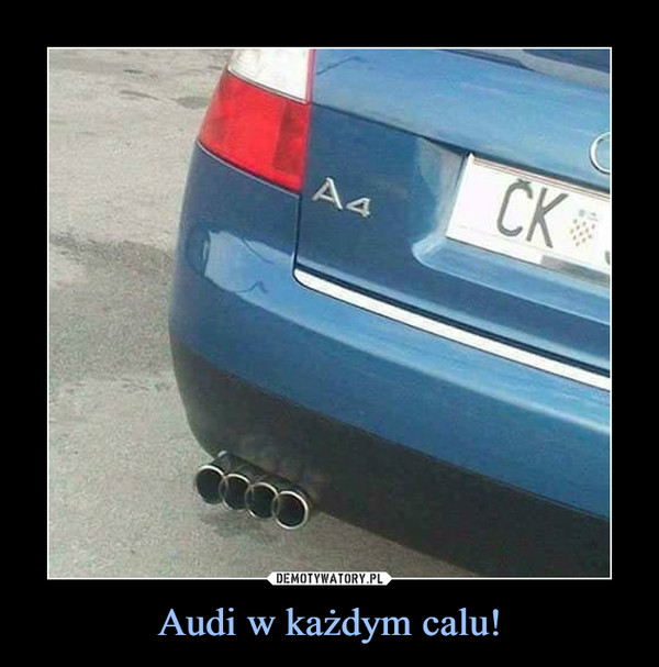 Audi w każdym calu! –  