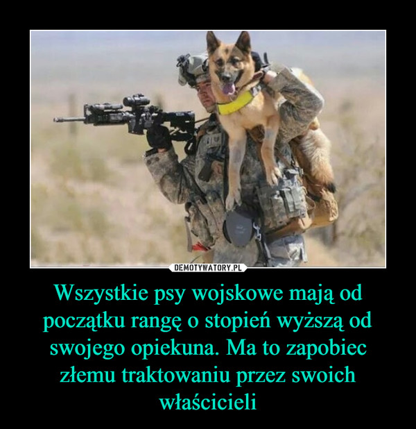 Wszystkie psy wojskowe mają od początku rangę o stopień wyższą od swojego opiekuna. Ma to zapobiec złemu traktowaniu przez swoich właścicieli