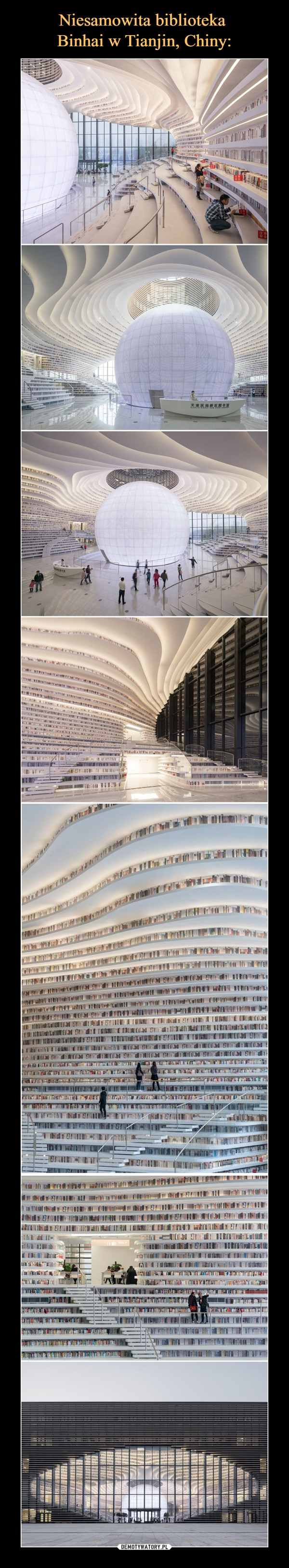 Niesamowita biblioteka 
Binhai w Tianjin, Chiny: