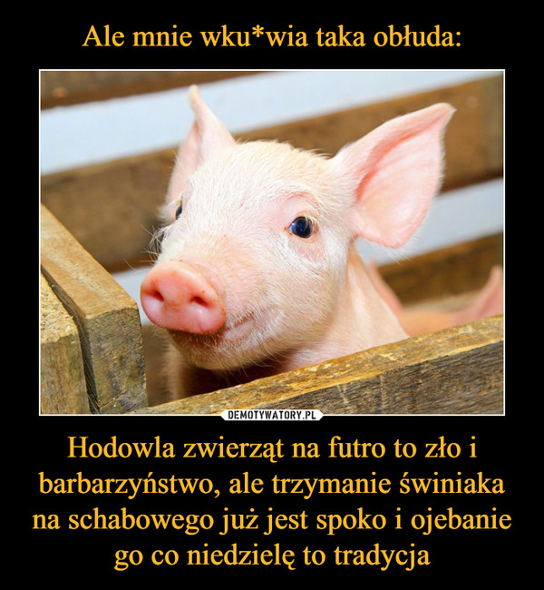Hodowla zwierząt na futro to zło i barbarzyństwo, ale trzymanie świniaka na schabowego już jest spoko i ojebanie go co niedzielę to tradycja –  