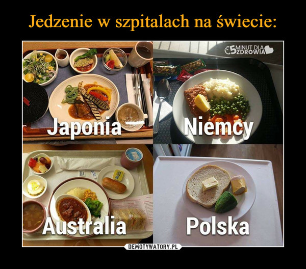  –  Japonia Niemcy Australia Polska 