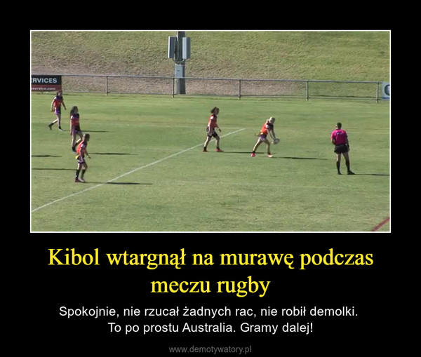 Kibol wtargnął na murawę podczas meczu rugby – Spokojnie, nie rzucał żadnych rac, nie robił demolki. To po prostu Australia. Gramy dalej! 