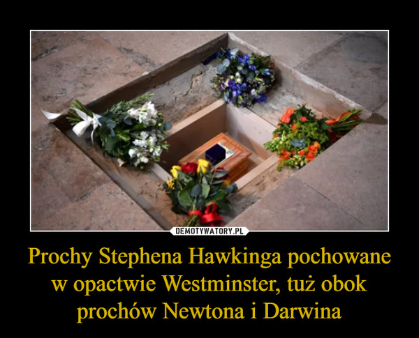 Prochy Stephena Hawkinga pochowane w opactwie Westminster, tuż obok prochów Newtona i Darwina –  