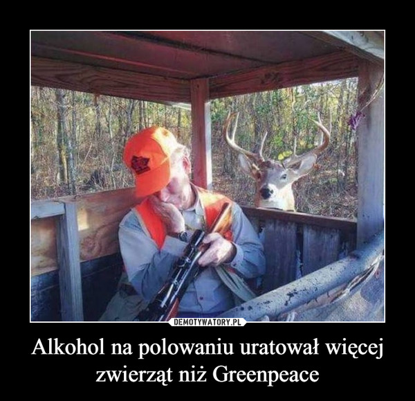 Alkohol na polowaniu uratował więcej zwierząt niż Greenpeace –  