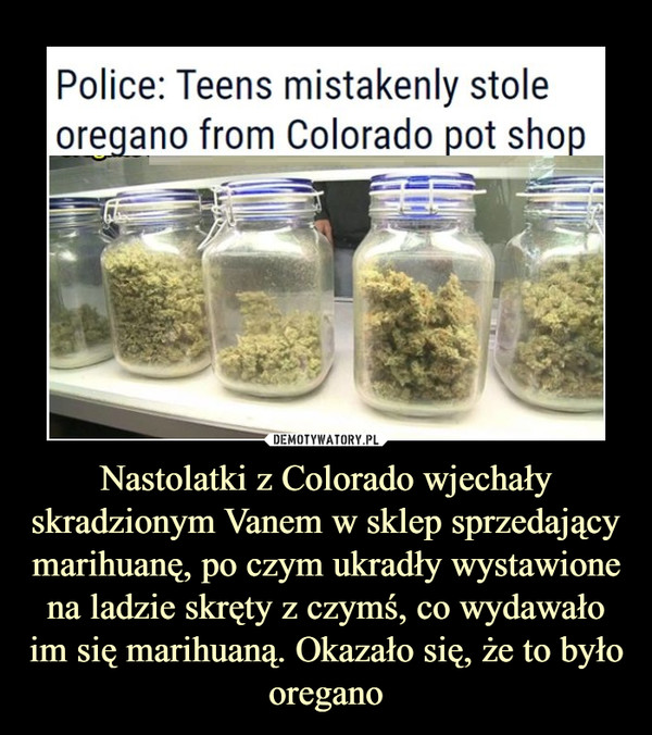 Nastolatki z Colorado wjechały skradzionym Vanem w sklep sprzedający marihuanę, po czym ukradły wystawione na ladzie skręty z czymś, co wydawało im się marihuaną. Okazało się, że to było oregano