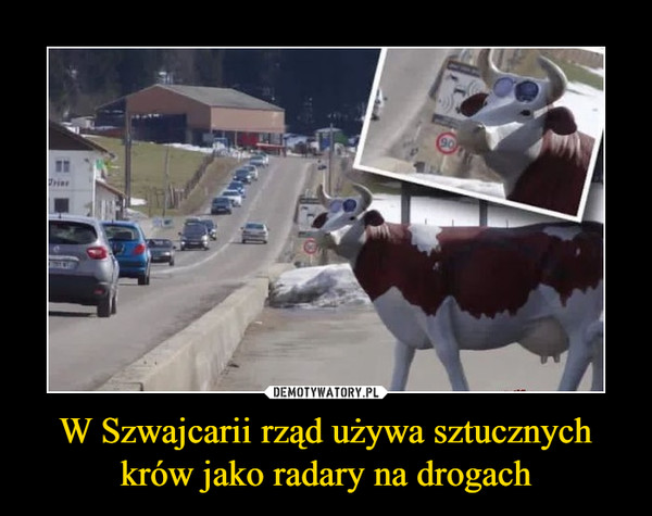 W Szwajcarii rząd używa sztucznych krów jako radary na drogach –  