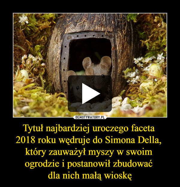 Tytuł najbardziej uroczego faceta 
2018 roku wędruje do Simona Della, 
który zauważył myszy w swoim 
ogrodzie i postanowił zbudować 
dla nich małą wioskę