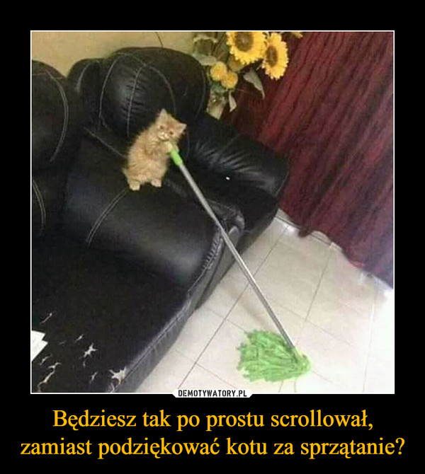 Będziesz tak po prostu scrollował, zamiast podziękować kotu za sprzątanie? –  