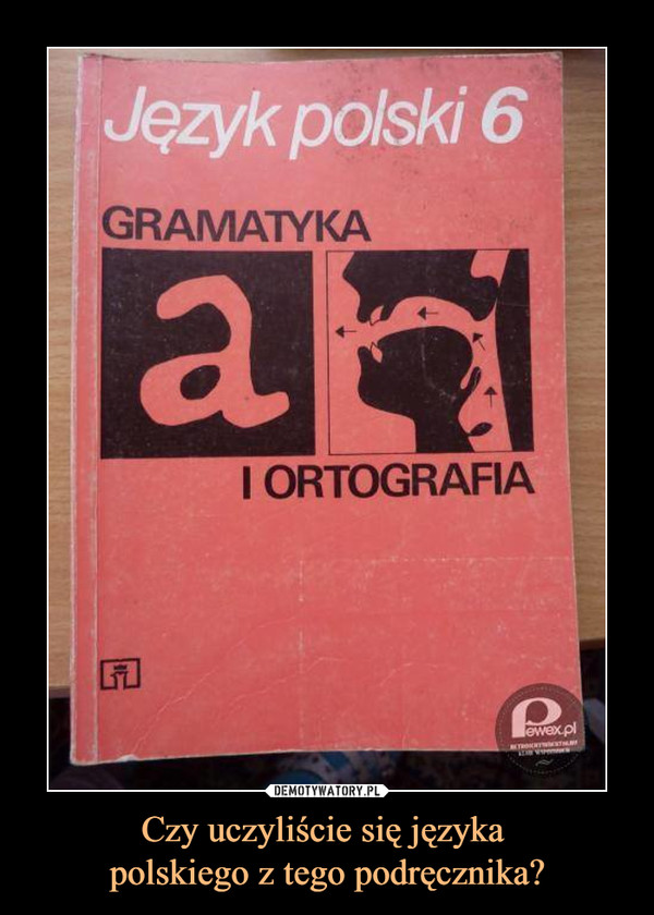 Czy uczyliście się języka polskiego z tego podręcznika? –  