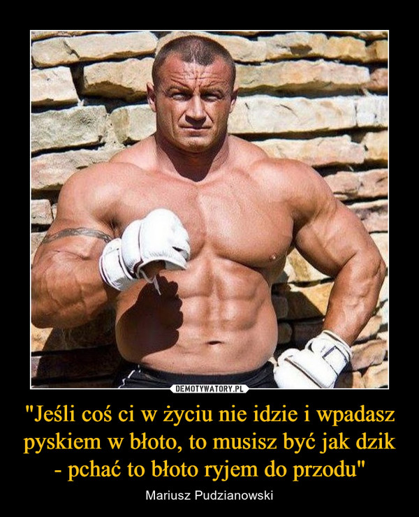 "Jeśli coś ci w życiu nie idzie i wpadasz pyskiem w błoto, to musisz być jak dzik- pchać to błoto ryjem do przodu" – Mariusz Pudzianowski 