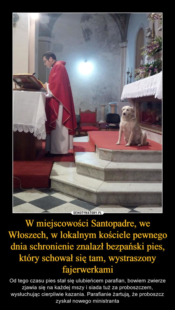 W miejscowości Santopadre, we Włoszech, w lokalnym kościele pewnego dnia schronienie znalazł bezpański pies, który schował się tam, wystraszony fajerwerkami