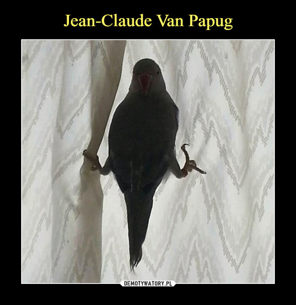 Jean-Claude Van Papug