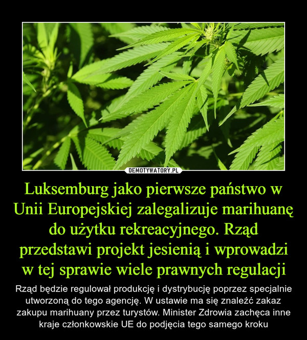Luksemburg jako pierwsze państwo w Unii Europejskiej zalegalizuje marihuanę do użytku rekreacyjnego. Rząd przedstawi projekt jesienią i wprowadzi w tej sprawie wiele prawnych regulacji – Rząd będzie regulował produkcję i dystrybucję poprzez specjalnie utworzoną do tego agencję. W ustawie ma się znaleźć zakaz zakupu marihuany przez turystów. Minister Zdrowia zachęca inne kraje członkowskie UE do podjęcia tego samego kroku 