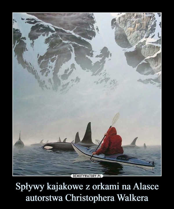 Spływy kajakowe z orkami na Alasce autorstwa Christophera Walkera –  